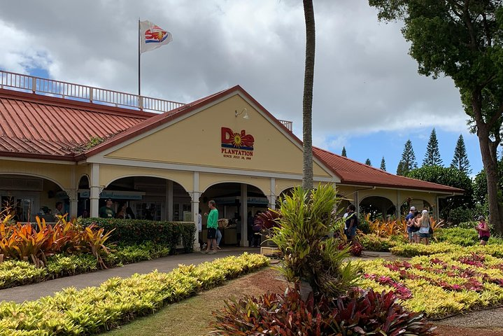 Oahu Tour - Pearl Harbor, Dole Pineapple & Oahu Tour - Photo 1 of 11